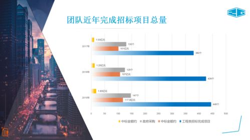 中冠咨詢 全面招標代理、政府采購與信息技術咨詢服務介紹